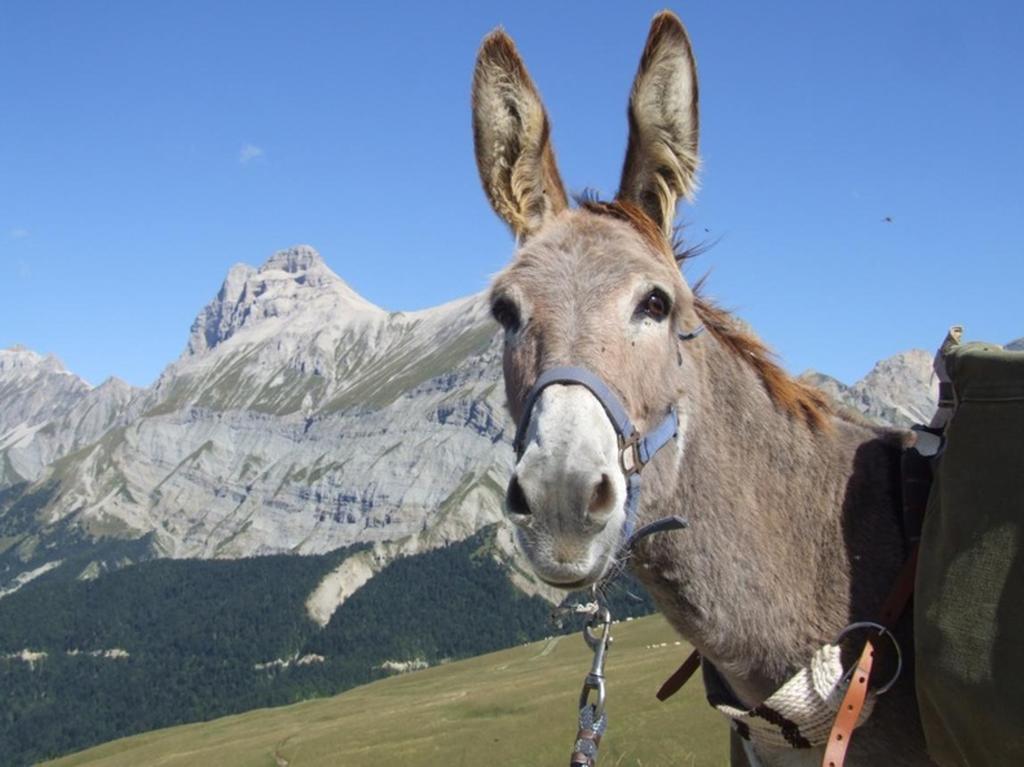 Camping Le Couriou Recoubeau-Jansac エクステリア 写真